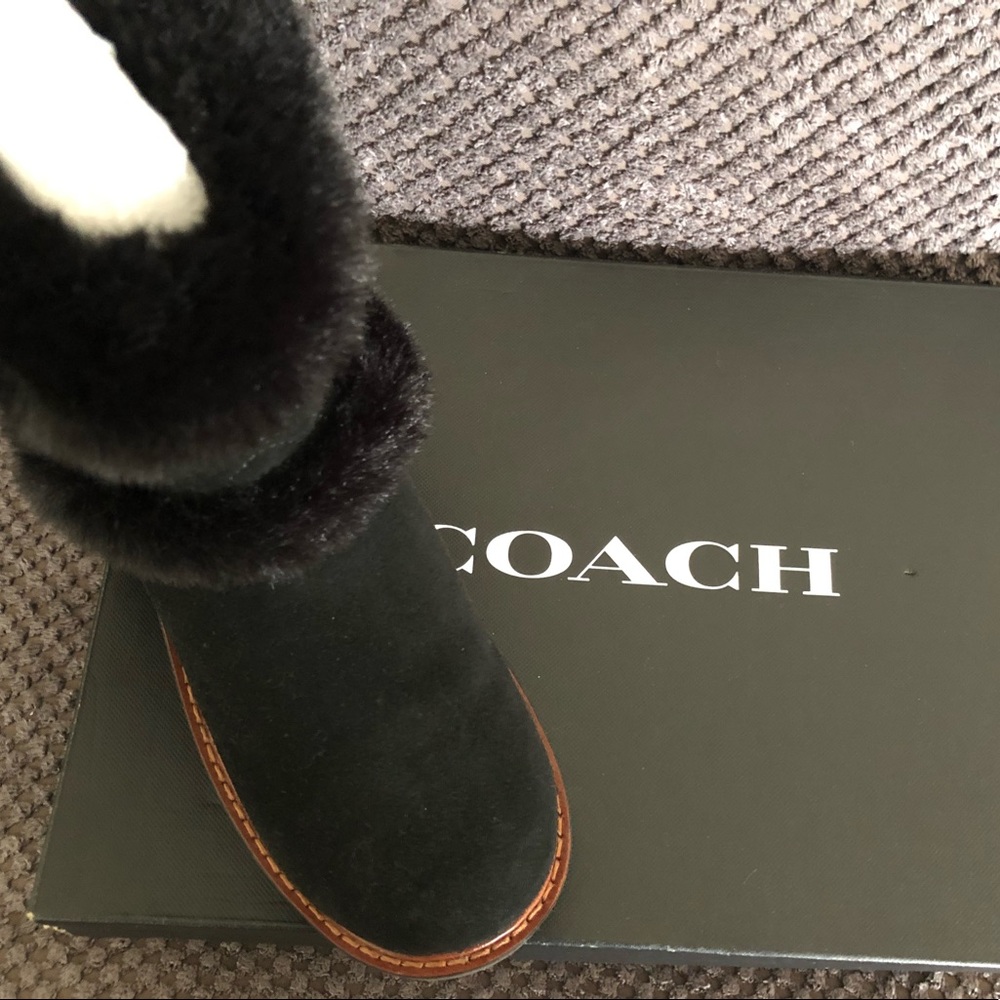 Coach Izzie Suede black boots